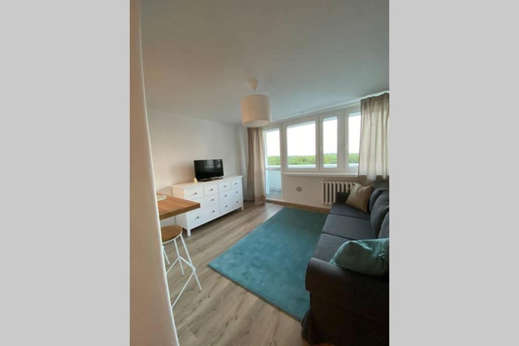 Modern Studio Apartment At Park&Stadium Near City Center Katowice Eksteriør bilde