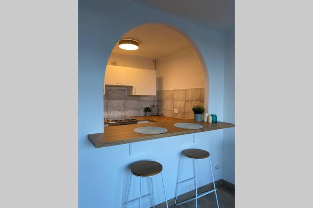 Modern Studio Apartment At Park&Stadium Near City Center Katowice Eksteriør bilde